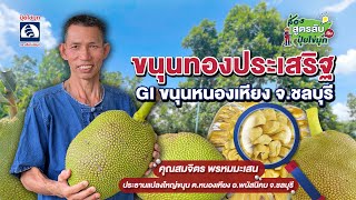 ส่องสูตรลับกับปุ๋ยไข่มุก ตอน ขนุนทองประเสริฐ