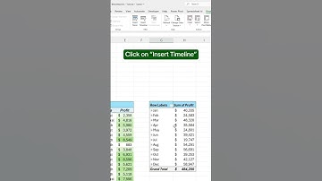 👉 how to filter dates in excel using a Timeline