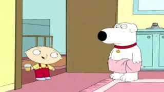 Where's my money? -- Family Guy