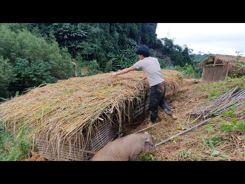 Video: Azu Di Rumah Dalam Periuk Perlahan