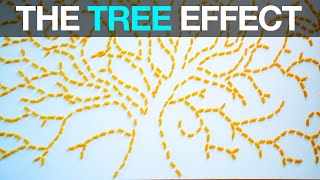 The Tree Effect - Charity With Dignity