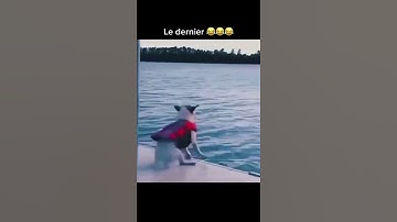 Thumbnail of short video drole tiktok