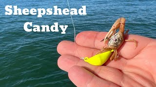 SHEEPSHEAD Fishing At The CHARLESTON JETTIES  Bottom Sweeper Jigs