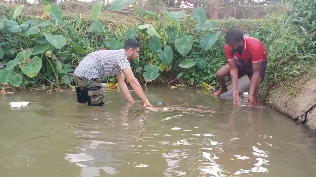ডালা তুলে জাল টেনে কেমনে ডুবিয়ে ডুবিয়ে মাছ ধরে দেখেন মালয়েশিয়া খালে। OMAGA 2.0 bd