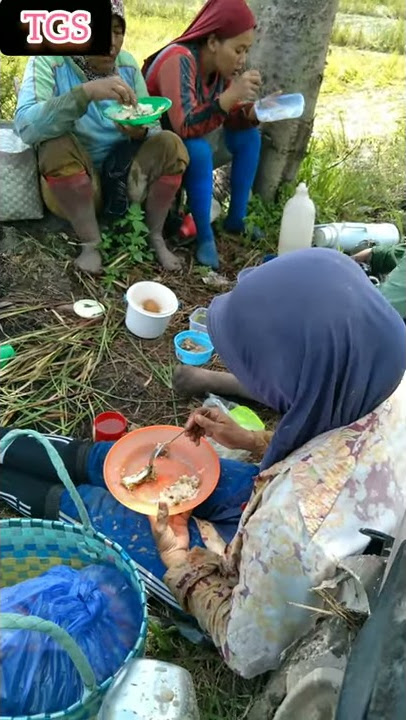 Vidio Seru  - Vlog Makan Di Sawah Ibu Ibu Petani Buruh Indonesia #shorts
