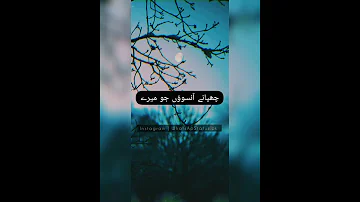 Fasiq OST New WhatsApp Status Shorts Shayari Geotv 