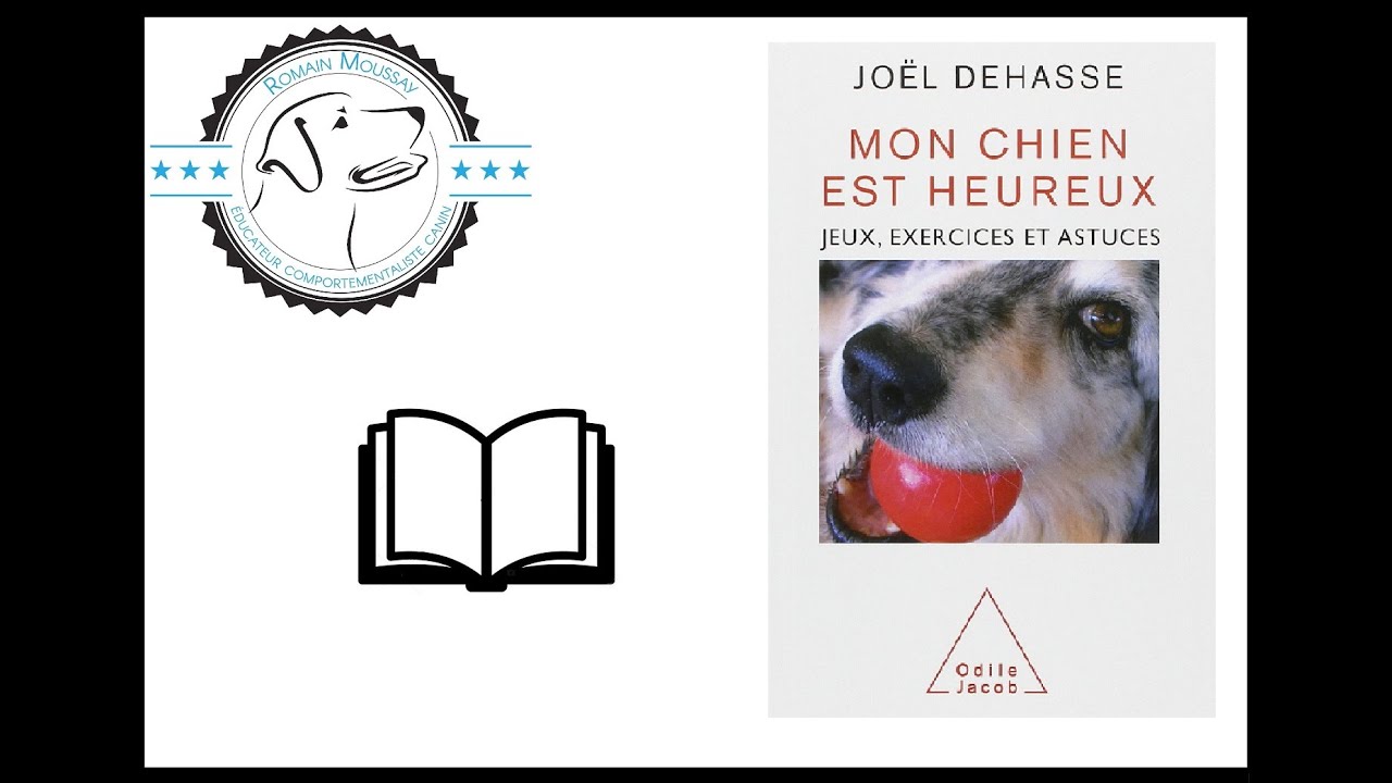 Mon chien est heureux (Joël Dehasse) - Format court - YouTube