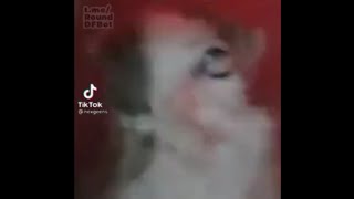 Gato Bugueado || Shitpost Status || Canal Del Pana Dou