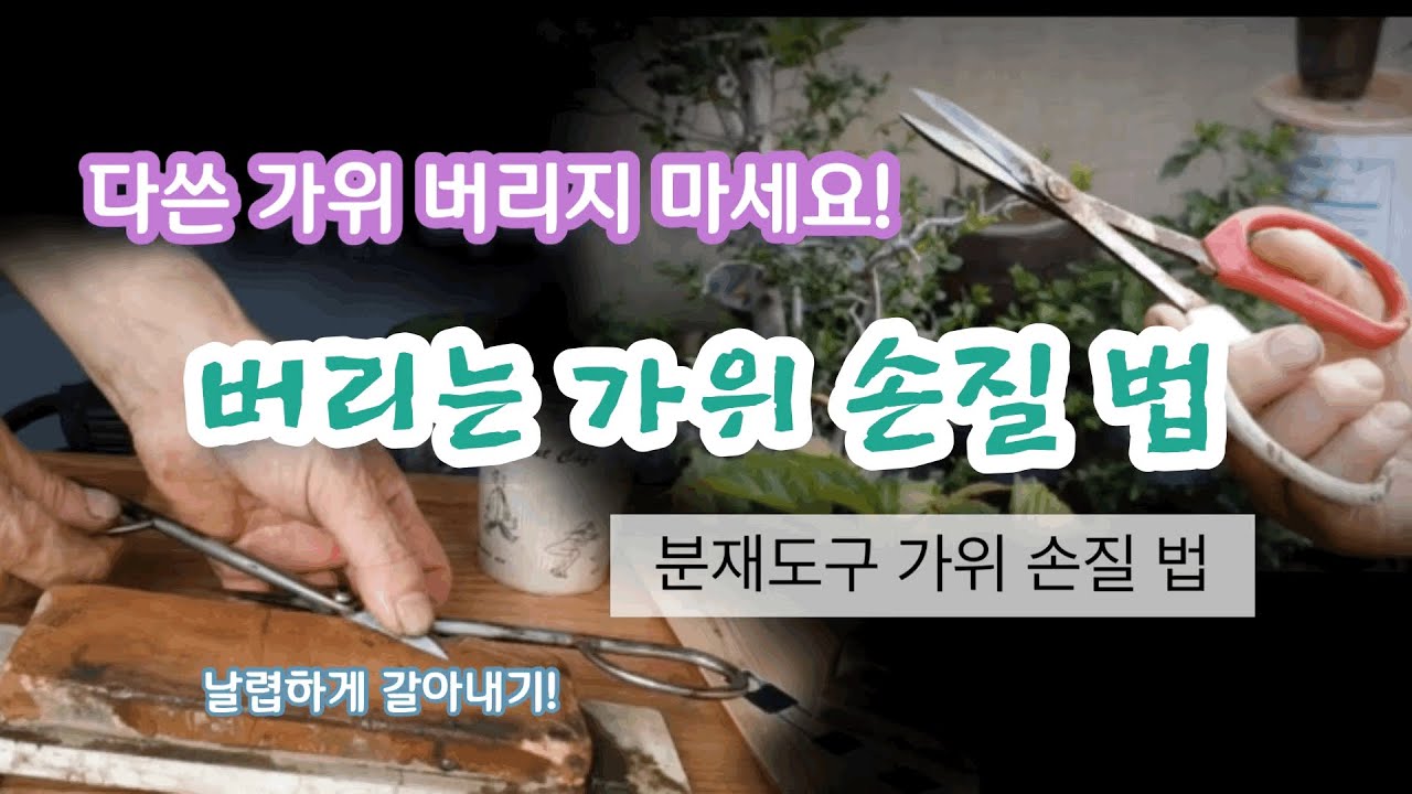 분재도구/식물이나 분재가위 손질하는방법Bonsai tools / how to care for plants or bonsai shears