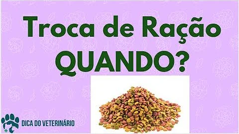 Como amolecer a ração do meu filhote de cachorro?