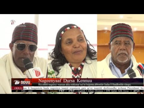 DW International Odu Afaan Oromoo 12 00 22 11 2017 E C Watch Live Streaming