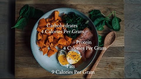 What Are Macros & How to Use Them for Weight Loss | Beginner’s Guide