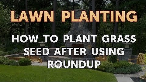 How to Plant Grass Seed After Using Roundup