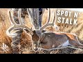 KANSAS BUCK Charges Our DECOY!!! - Our CRAZIEST Whitetail Encounter Ever!