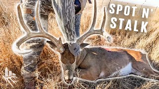 KANSAS BUCK Charges Our DECOY!!! - Our CRAZIEST Whitetail Encounter Ever!