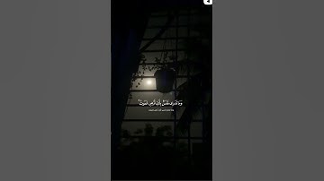 إن الله عنده علم الساعة||تلاوة مؤثرة //بصوت القارئ صالح اليافعي⏱️ثواني تريح الاعصاب 🎧🤍🌿