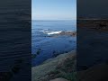 A serene morning at La Jolla Children's Pool ~ San Diego, CA
