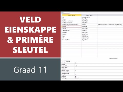 Video: Waarvoor word data-eienskappe gebruik?