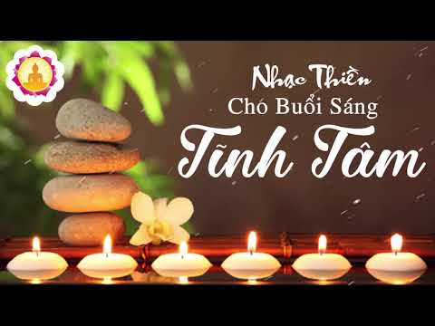 Nhạc Thiền Cho Buổi Sáng Tĩnh Tâm An Lạc - Ngày Mới Tràn Đầy Năng Lượng