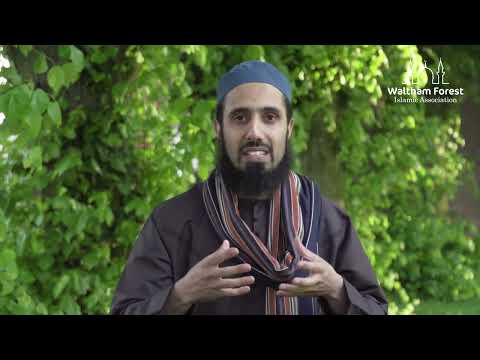 Day 25 | Repentance & Forgiveness | Ramadan Reminders