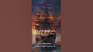 سورة النحل الآية ١٦:١٤ #الشيخ_يوسف_العيدروس