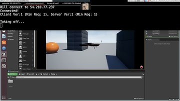 Airsim/RISC-V QEMU Co-simulation Demo