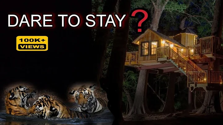Treehouse inside Tiger Territory | Jim Corbett National Park