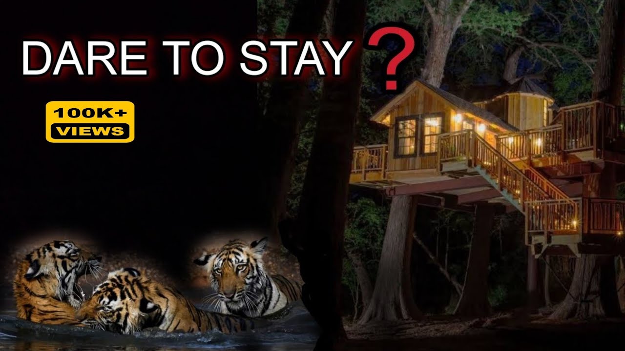 Treehouse inside Tiger Territory | Jim Corbett National Park