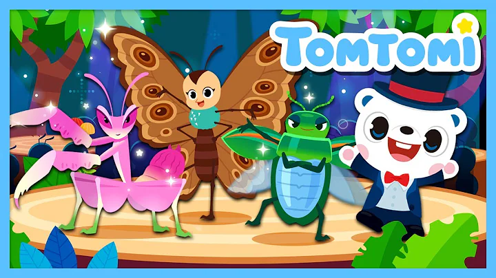 The Spectacular Insects Song🦋 | The Queen Trio of the Insect World👸 | Actual images | TOMTOMI thumbnail