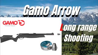 Gamo Arrow .22 (5.5mm) long range !!