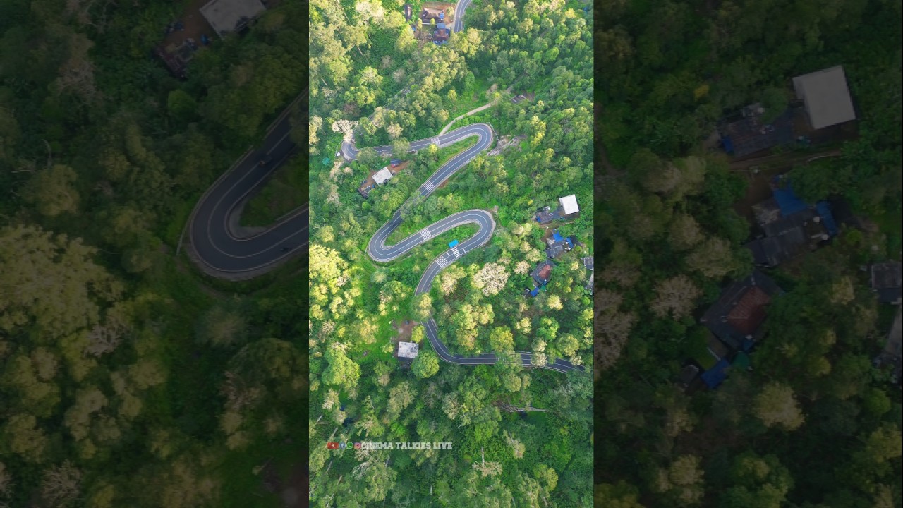 Bison Valley Hills  | munnar | idukki | 