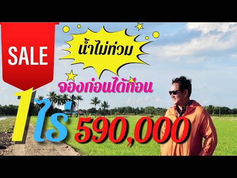 ที่ดินสวย-น้ำไม่ท่วม‼️-ราคาถูก