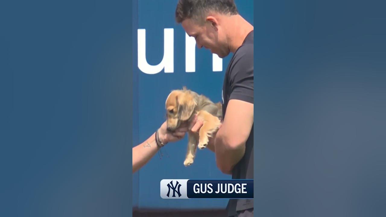 GUS JUDGE IS A STAR!! Aaron's new pup has a doggone great time at