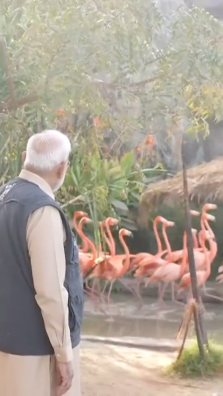 PM Modi meets the giants! Special moments with elephants at Vantara