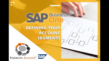DEFINING YOUR ACCOUNT SEGMENTS IN SAP BUSINESS ONE