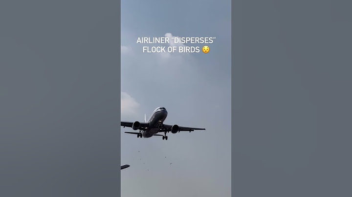 Uçak Önündeki Kuş Sürüsüne Çarptı