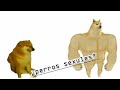 perros sex#$%es