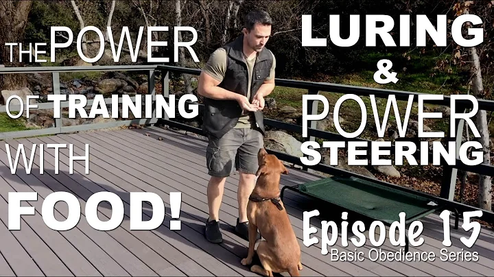 The Power of Training Your Dog with FOOD! Episode 15