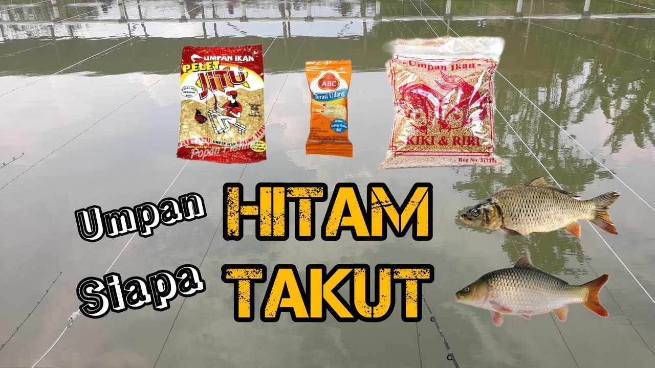 umpan hitam ikan mas !! umpan penangkal essen @alfarischannel8058