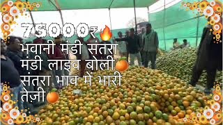 भवानी मंडी संतरा मंडी भाव में तेज़ी🔥75000₹#orange #bhawanimandi #yutube #subscribe