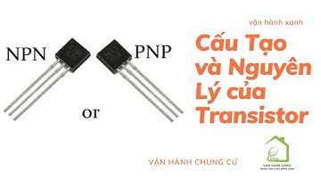 CẤU TẠO VÀ NGUYÊN LÝ TRANSISTOR || Vận hành xanh