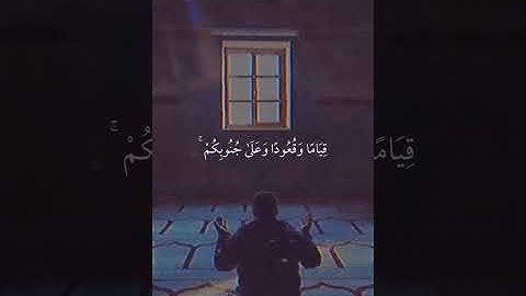 فَإِذَا قَضَيْتُمُ الصَّلَاةَ | سورة النساء | علي جابر