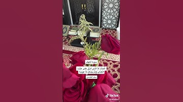 الحمد لله الذي أنزل على عبده الكتاب ولم يجعل له عوجاً قيما #سورة_الكهف #سعد_الغامدي #نجران  #رحالكو