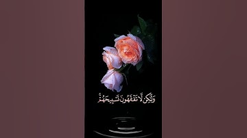 صباح الخير 🌺حالات واتس اب مقاطع قصيره🌺 قران كريم سورة الإسراء تسبح له السموات🌺احمد العجمي بدون حقوق