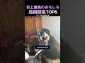 史上最高のおもしろ鳥瞬間集TOP6