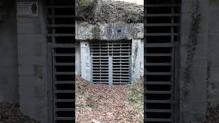 Carrières De La Croix Girois Short