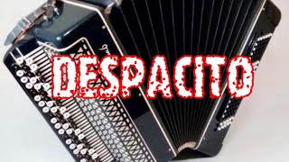 OMG!!! / Daddy Yankee & Louis Fonsi - Despacito (кавер на баяне / russian accordion cover)