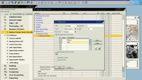SAP Business One Product Demo - Customized Data Access