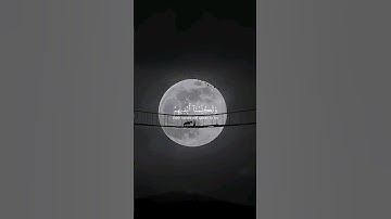 اكتب شيء تؤجر عليه| سورة يس [63-65] لي شي يوسف الصقير  #قران  #quran #قرآن