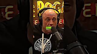 The INSANE Reality Of Belgian Malinois! 🐕🤯 #shorts